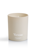 Sviečka Verbena