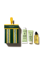 ORNAMENT AMANDE SUBLIME - Illustration 1