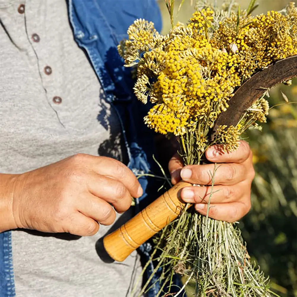 Pascale a slamienka – príbeh lásky