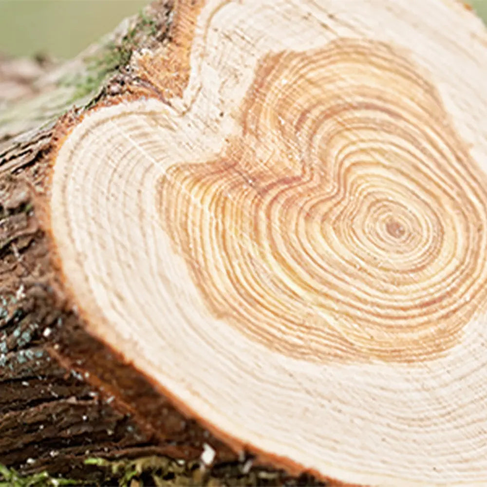 Meet Michael Comte - our cade farmer from valvignères, south of the ardèche