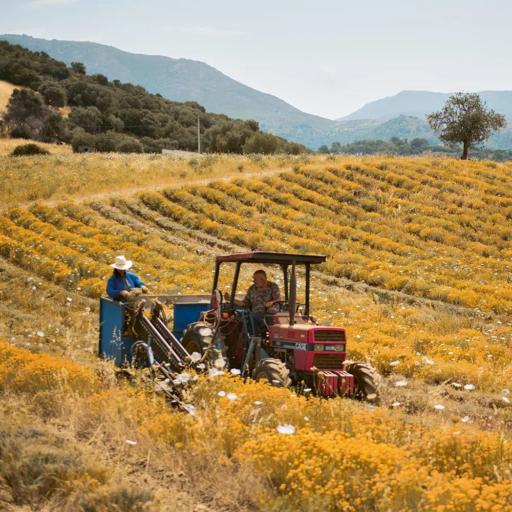 Objavte našich producentov