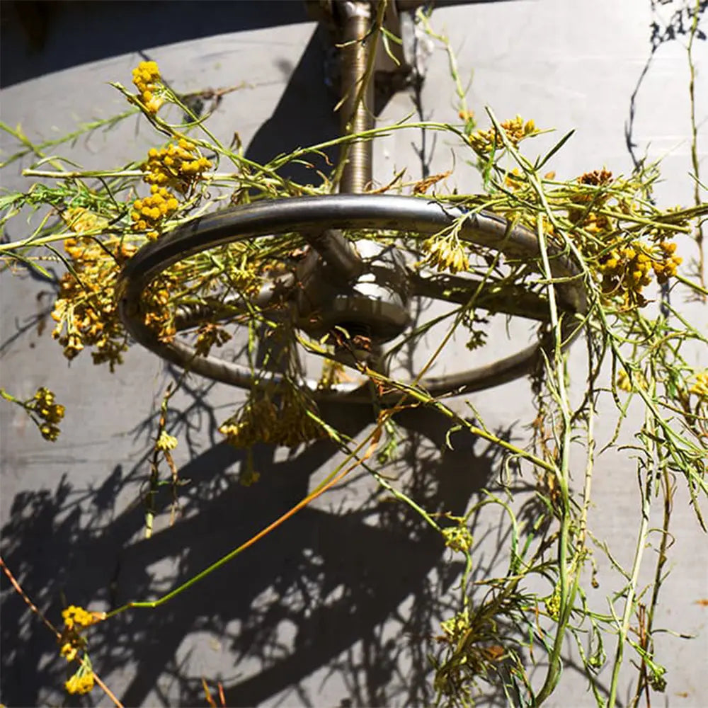 Výmena kozmopolitného života za organické hospodárstvo