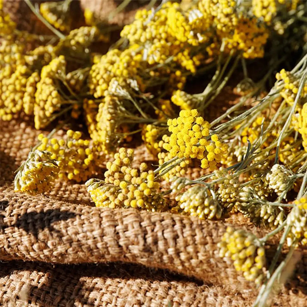 Siatie divých semien pre ochranu pôdy