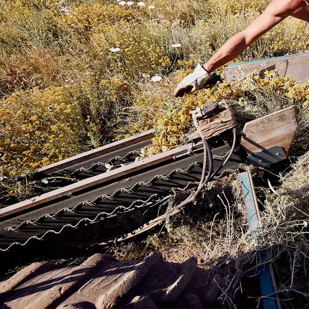 Príprava pôdy na zber