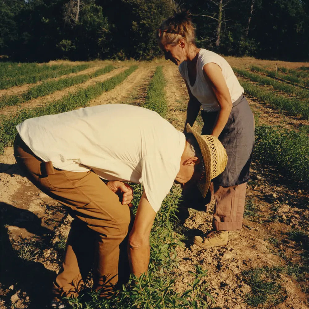 Nová rodinná tradícia