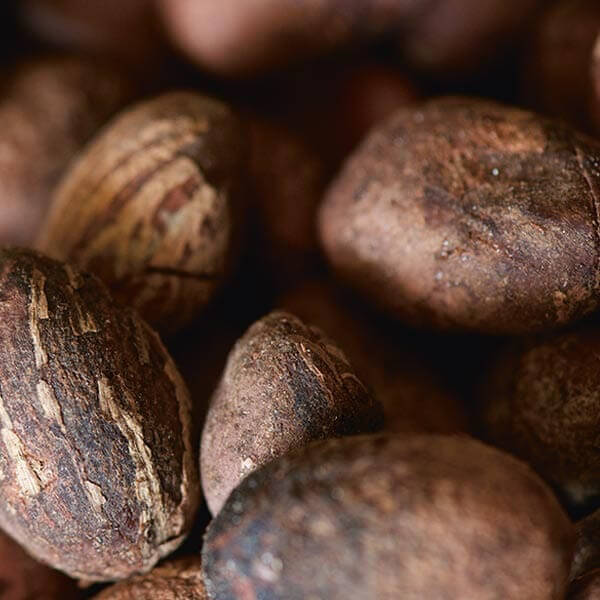 Bambucké maslo